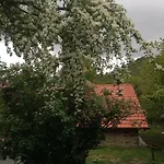 Ca' De L'ase