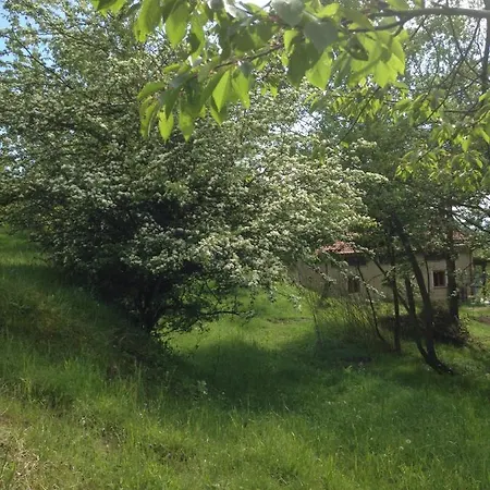 Ca' De L'ase