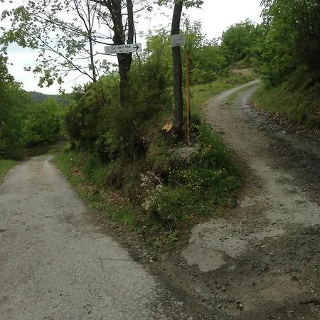 Ca' De L'ase