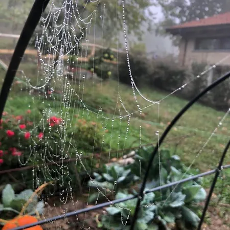 Bed & Breakfast Ca' De L'ase