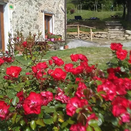 Ca' De L'ase Pontinvrea