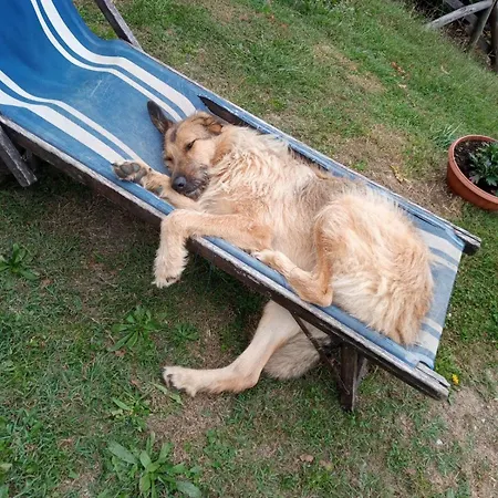 Ca' De L'ase Couette-café 3*