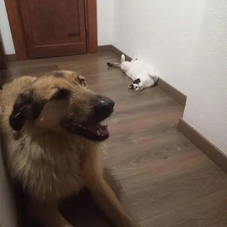 Bed & Breakfast Ca' De L'ase 3*