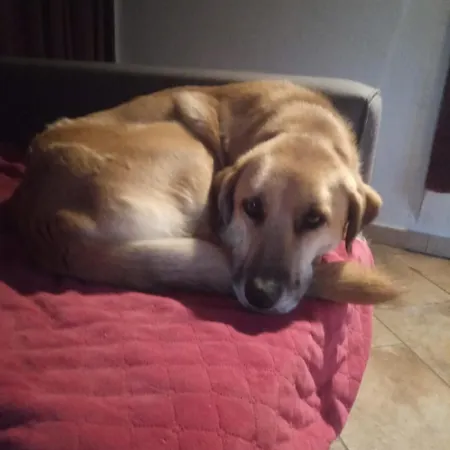 Bed & Breakfast Ca' De L'ase Pontinvrea