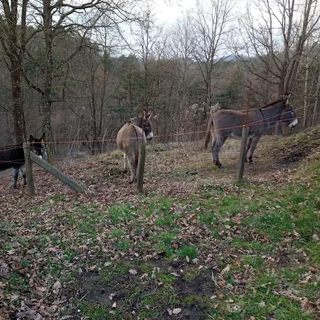 Ca' De L'ase 3* Pontinvrea