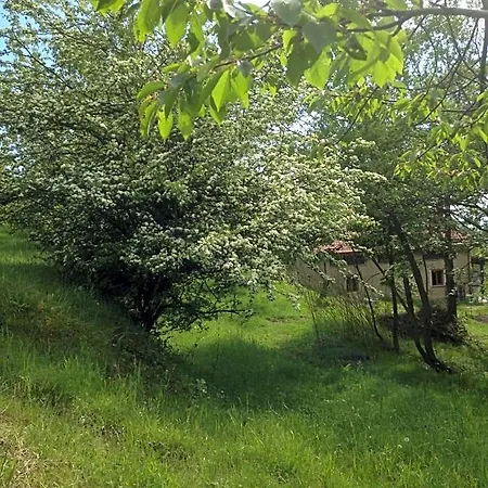 Отель типа 