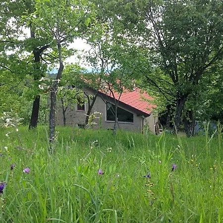 Ca' De L'ase Отель типа 