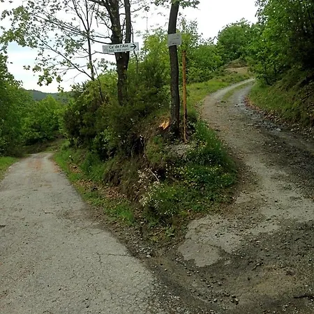 Отель типа 