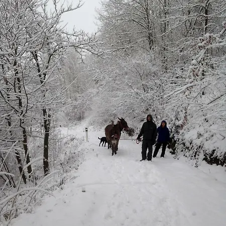 Bed & Breakfast Ca' De L'ase