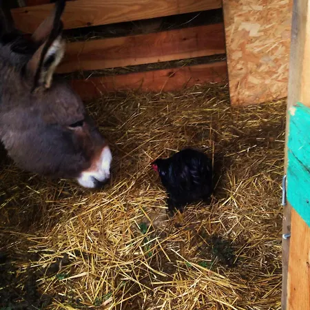 Ca' De L'ase Bed & Breakfast