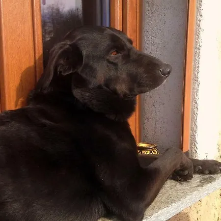 Ca' De L'ase Bed & Breakfast Pontinvrea