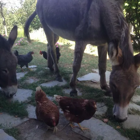 Ca' De L'ase Bed & Breakfast Pontinvrea