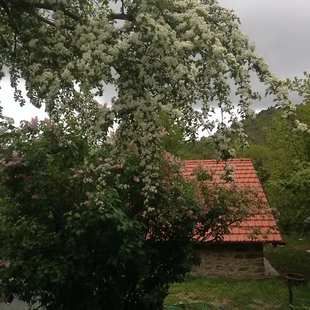 Ca' De L'ase