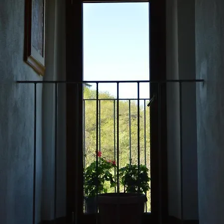 Ca' De L'ase