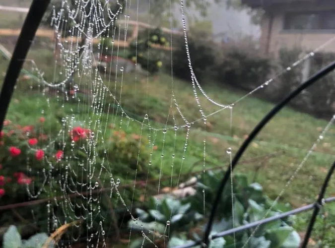 Frühstückspension Ca' De L'ase