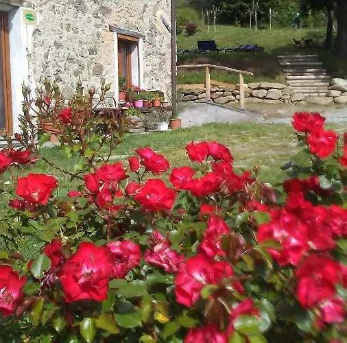 Ca' De L'ase Pontinvrea