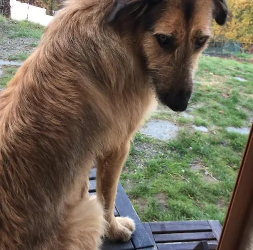 Couette-café Ca' De L'ase