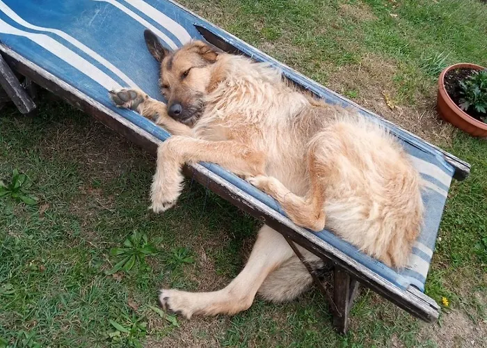 Ca' De L'ase Couette-café 3*