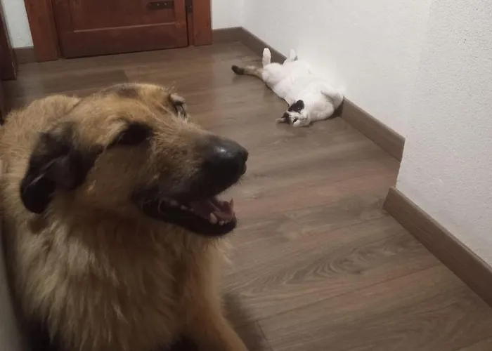 Couette-café Ca' De L'ase 3*