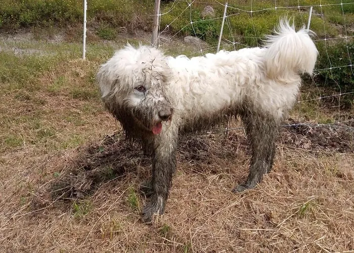 Ca' De L'ase Frühstückspension Pontinvrea