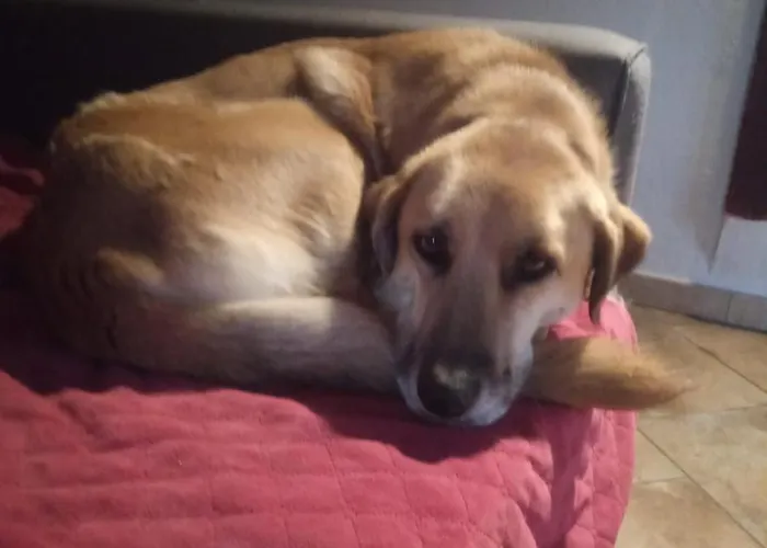 Couette-café Ca' De L'ase Pontinvrea