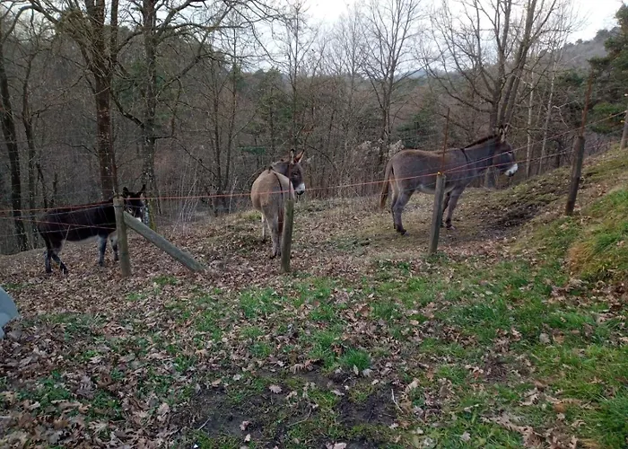 Ca' De L'ase 3* Pontinvrea