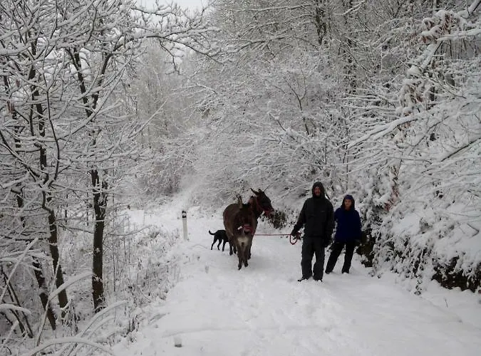 Frühstückspension Ca' De L'ase