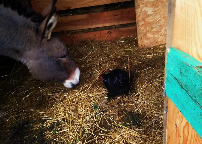 Ca' De L'ase Frühstückspension