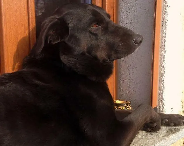 Ca' De L'ase Frühstückspension Pontinvrea