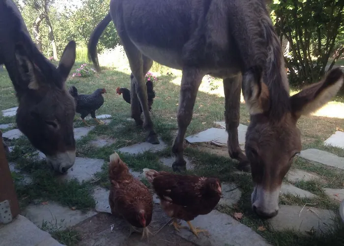 Ca' De L'ase Frühstückspension Pontinvrea